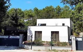 Chambre Privee, Mer Et Foret